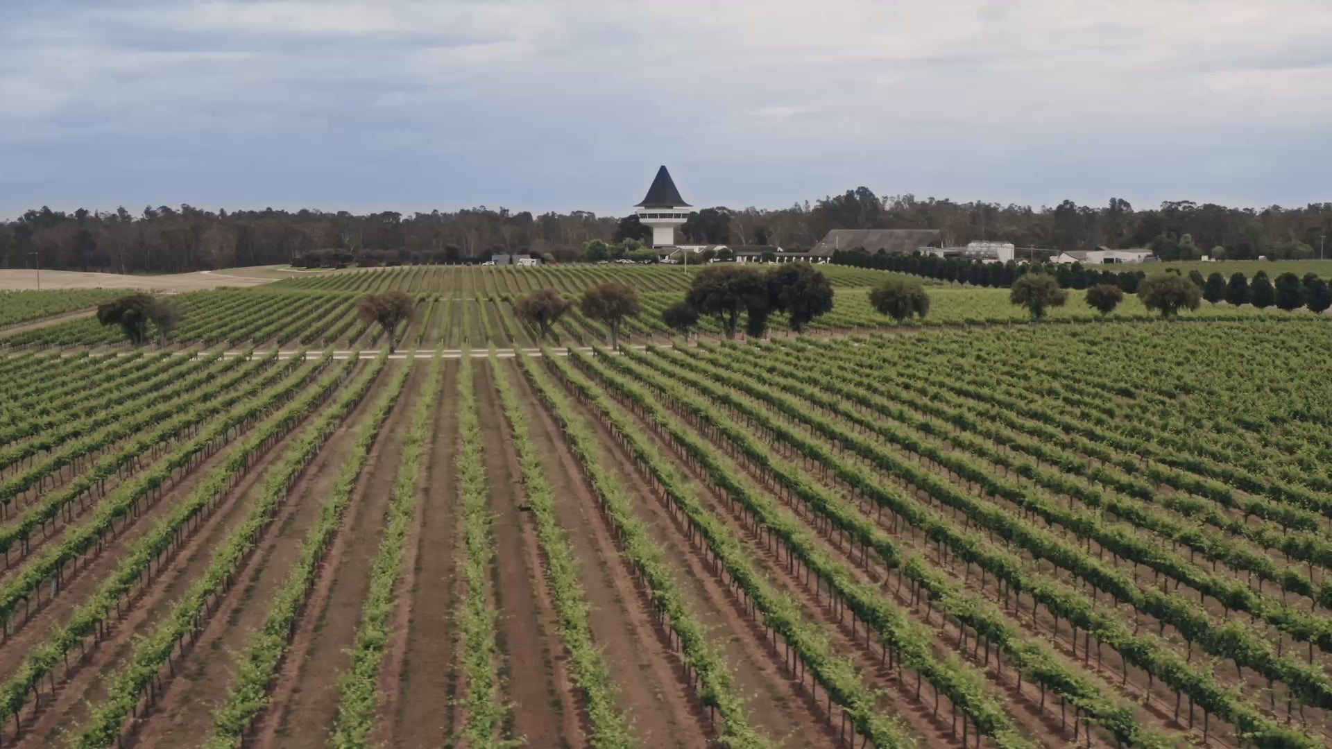 Load video: Explore Mitchelton Estate